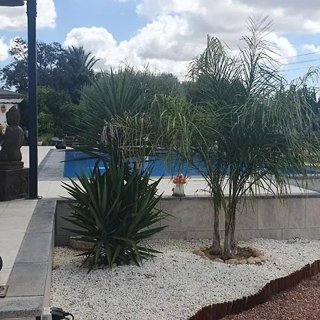 Pensión Casadelfenix Crevillente