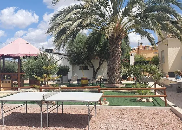 Casadelfenix Pensionat Crevillente